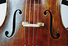 Marlies Muijzers, Cello, Muijzers Muziek